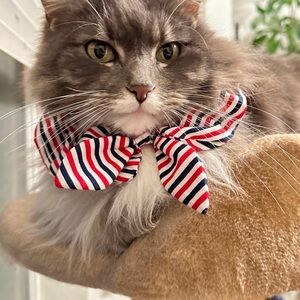 Striped Red, White, and Blue Cat Bow Tie